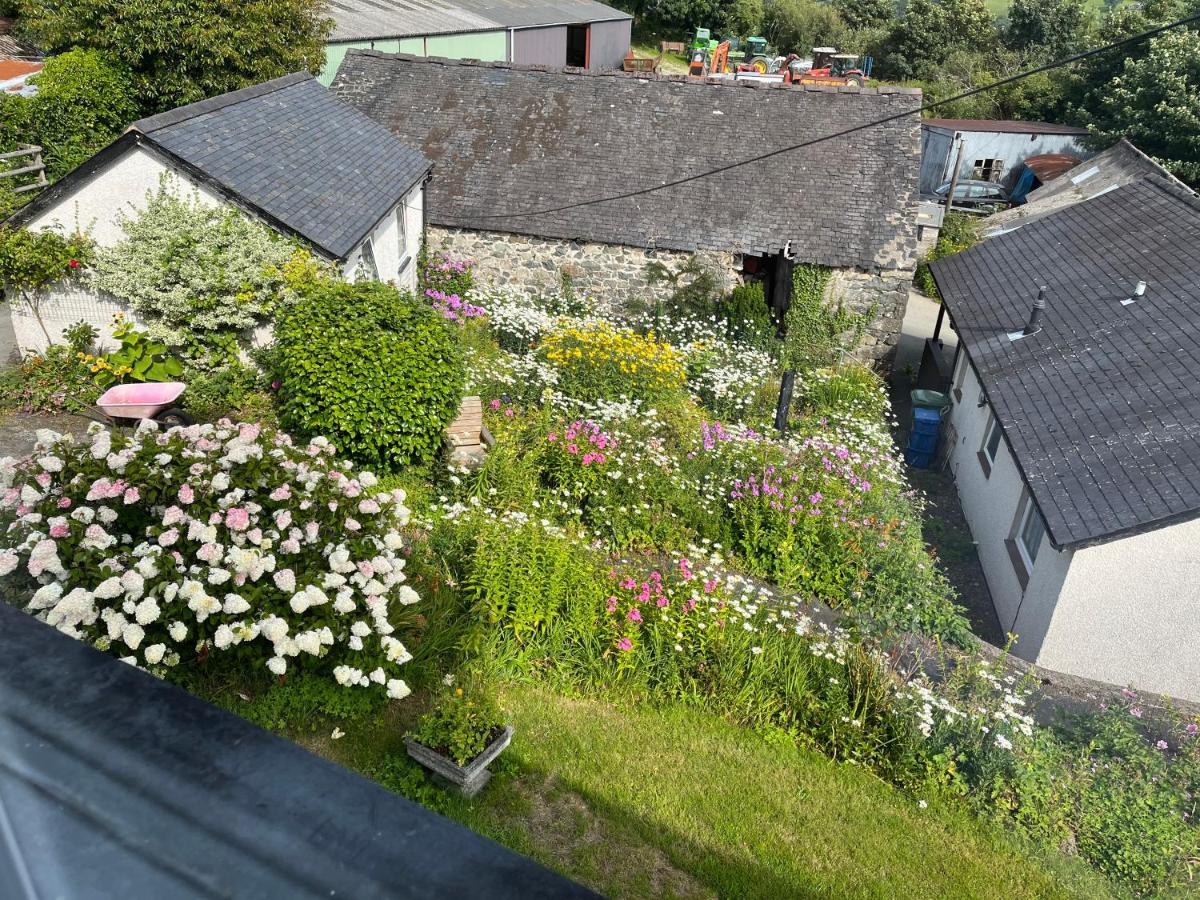 Staylittle Farm Dolgellau Exterior foto
